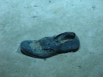 Shoe